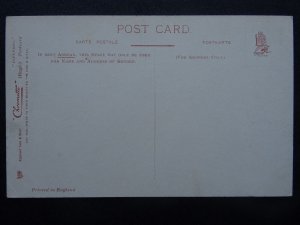 Somerset Clevedon WALTON CASTLE c1905 Postcard by Raphael Tuck