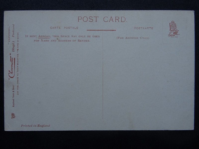 Somerset Clevedon WALTON CASTLE c1905 Postcard by Raphael Tuck