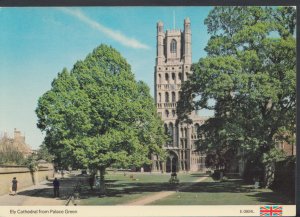 Cambridgeshire Postcard - Ely Cathedral From Palace Green      T855