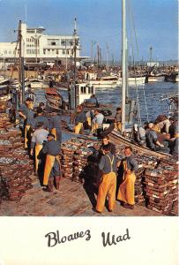 BF37246 blovez vad france port douarnenez  Boat Ship Bateaux