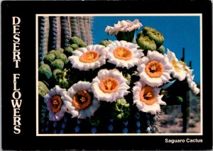 Desert Flowers Saguaro Cactus The Arizona State Flower