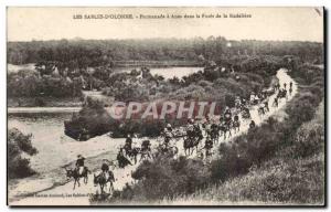 Old Postcard The Sables d & # 39Olonne Promenade has donkeys in the forest of...