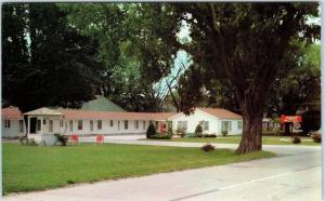 NAUVOO, IL Illinois   PIONEER  MOTEL  c1950s  Roadside   Postcard