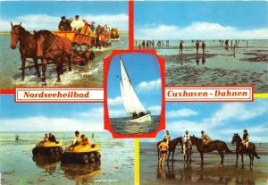 B68852 Cuxhaven Duhnem horse chaveaux  germany