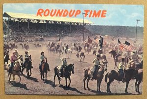 UNUSED POSTCARD - HORSES - ROUNDUP TIME