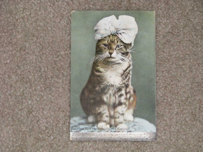 GREETINGS FROM THE CATSKILLS, MRS. KAATSKILL, USED VINTAGE CARD