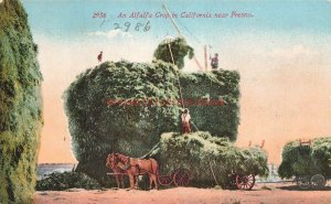 CA, Fresno, California, Alfalfa Crop, Edward H. Mitchell No. 2936