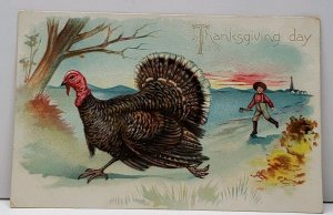 Thanksgiving Greetings Farmer Chases Turkey Embossed Tucks Postcard F12