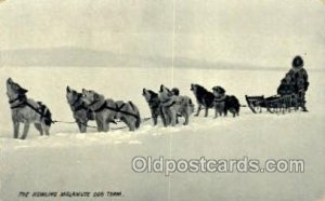 Dog Sledding, Writing On Back indentation in card from dryness, some corner w...