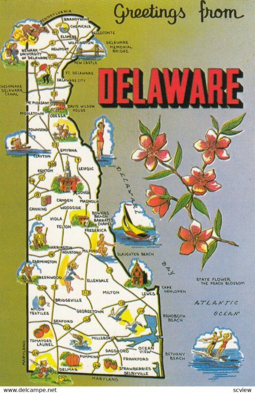 Map; Delaware , 1950-70s