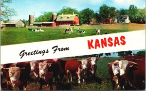 USA Greetings From Kansas Chrome Postcard 05.26