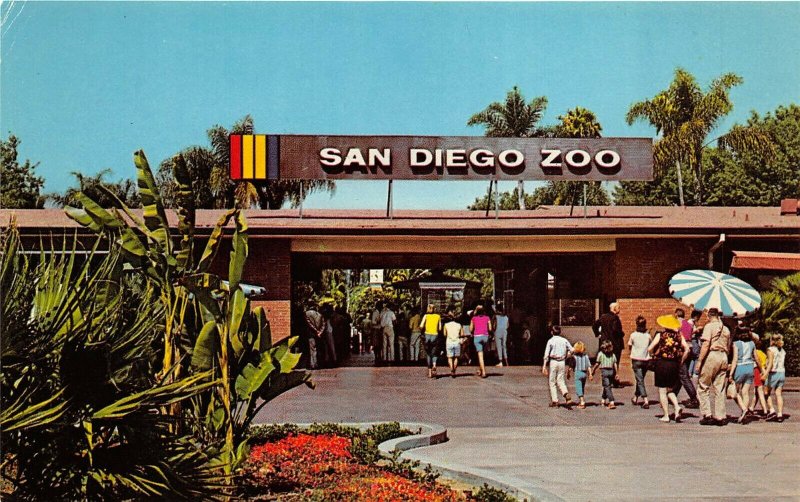 San Diego California 1960s Postcard San Diego ZOO Main Entrance