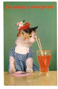 Dressed Cat, I'm Saving a Straw for You, Romantic