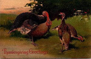 Thanksgiving Greetings With Turkeys PFB 8409