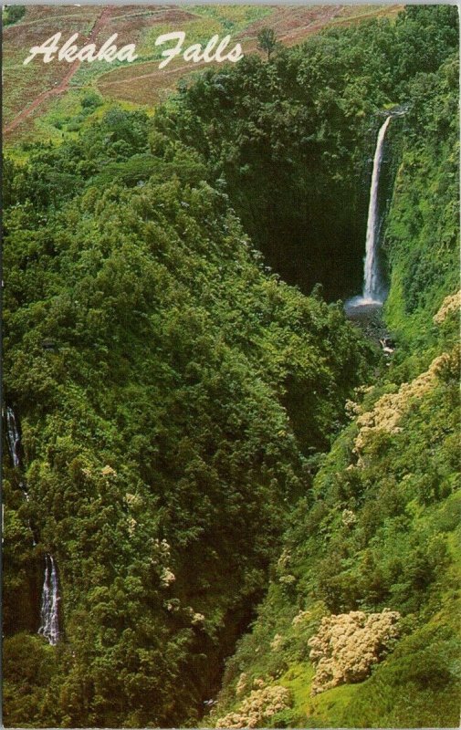 Akaka Falls near Hilo Hawaii HI Unused Vintage Postcard H6