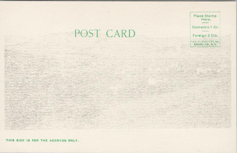 Smethport PA Penn Unused CB Dickinson Postcard E58