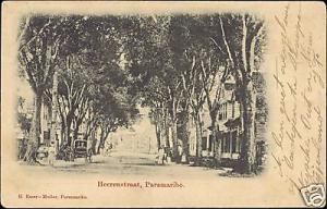 suriname, PARAMARIBO, Heerenstraat (1904)