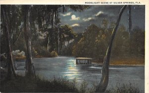 Moonlight Scene at Silver Springs - Silver Springs, Florida FL  