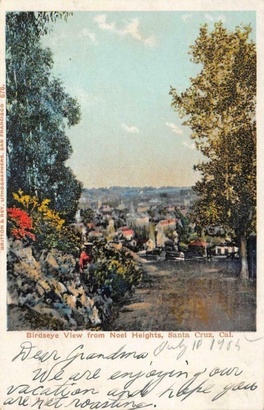 Birdseye View from Noel Heights SANTA CRUZ Britton & Rey 1905 Vintage Postcard