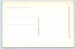 RPPC Malaga - Callejon Pintoresco - SPAIN Postcard