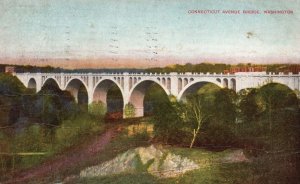 Vintage Postcard 1909 Connecticut Avenue Largest Concrete Bridge Washington D.C.