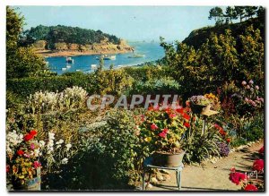 Postcard Modern Colors and Light of Brehat France (Cotes du Nord) Ile flowers...