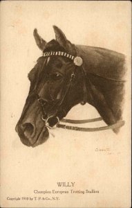 Horse - Champion European Trotting Stallion WILLY c1910  Postcard