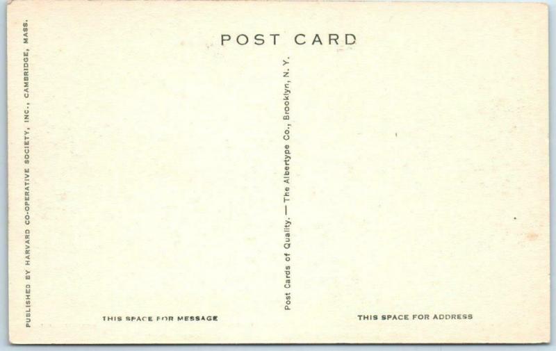 CAMBRIDGE, MA  The Yard &  Halls  HARVARD UNIVERSITY Albertype Postcard