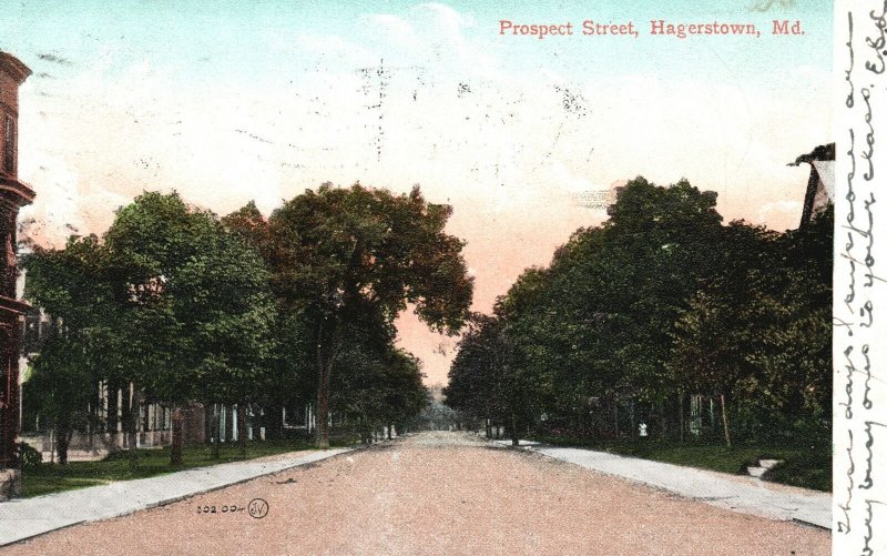 Vintage Postcard 1907 View of Prospect Street Hagerstown Maryland MD