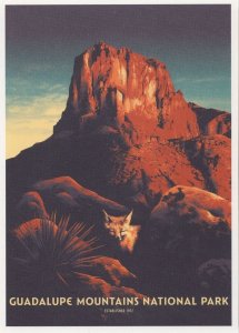 Guadalupe Mountains National Park Wolf Texas Salt Dunes USA Postcard