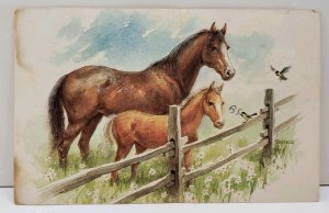 Horse and Mare Field of Flowers Wooden Fence Artist Postcard D4