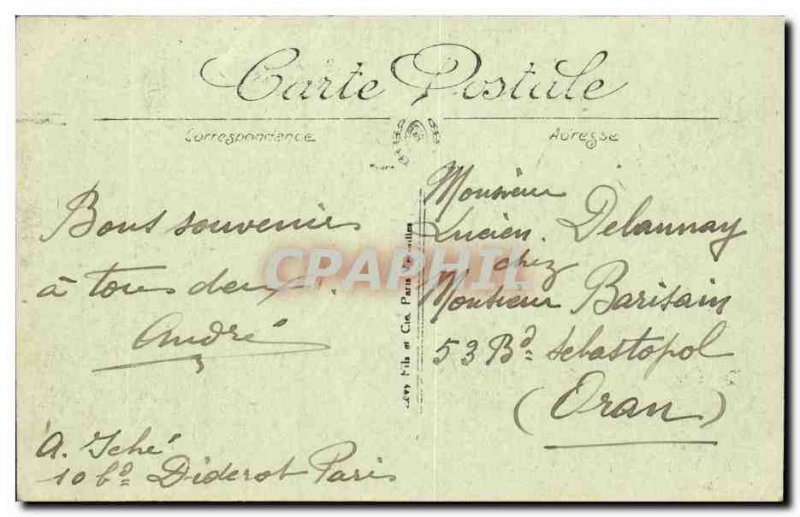 Vittel Old Postcard Park View