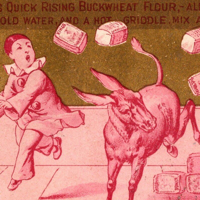 1880 Clown Jackass King's Quick Rising Buckwheat Flour Victorian Trade Card