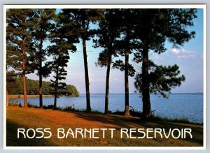 Ross Barnett Reservoir, Jackson, Mississippi, Chrome Postcard, NOS