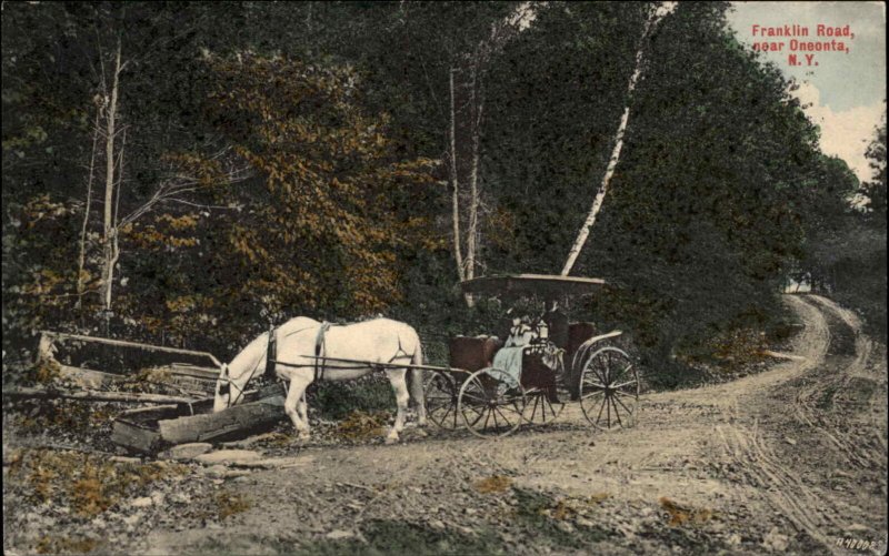 Oneonta New York NY Horse and Carriage c1910 Vintage Postcard