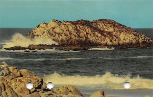 Seal and Bird Rocks 17 Mile Drive Monterey Peninsula California Postcard