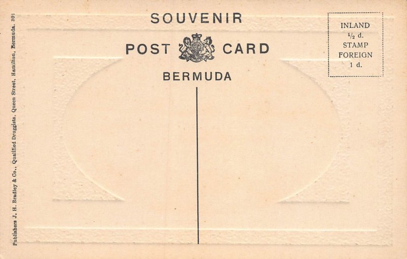 Outerbridges Lilly Field, Bermuda, Early Embossed Postcard, Unused