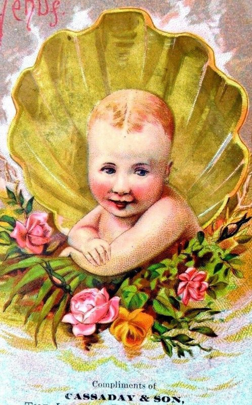 1870s-80s Lovely Venus Mythology Baby Shell, Cassaday & Son, Aliance, OH F5