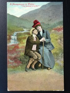 Welsh ROMANTIC HONEYMOON IN WALES Scenery is Lovely! c1908 Postcard by Valentine