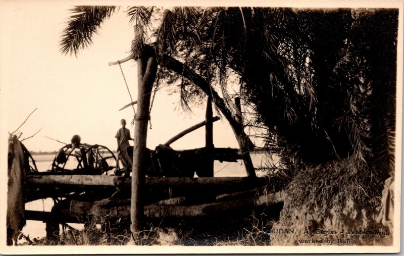 Sagia Sudan Waterwheel Postcard unused 1920s RPPC