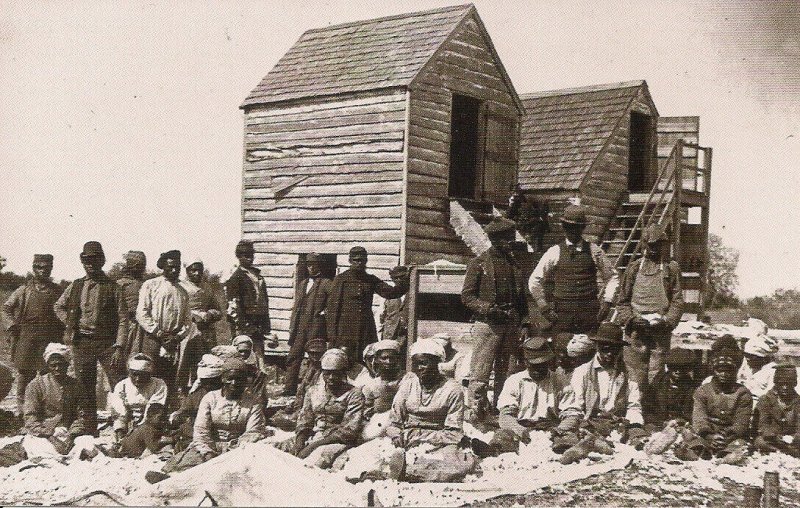 BLACK AMERICANA Liberated Enslaved People, Drayton Plantation, Charleston SC