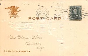 Statue of Liberty Post Card New York City, USA 1905