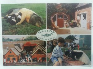 Hatton Country World Nr Warwick Vintage Postcard