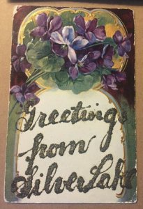 1910 USED PENNY PC EMBOSSED FLOWERS GLITTER GREETINGS FROM SILVER LAKE, MINN