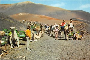 Lot 42 lanzarote camels caravan types folklore spain the mountains of fire