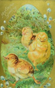 Embossed C. 1910 Lovely Easter Winsch Back Postcard 3 Baby Chicks Worm P77