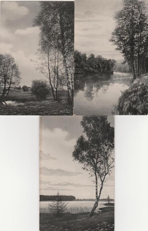 (3 cards) Rural Scenes - Pond - River - Lake - Printed in Germany - DB