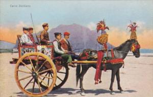 Italy Palermo Carro Siciliano Horse Drawn Cart