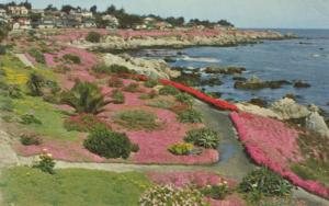 Lover's Point Pacific Grove Monterey Peninsula CA Calif Vintage Postcard D18