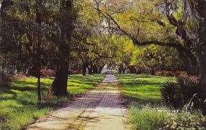 Litchfield Plantation Georgetown County South Carolina